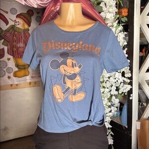 Disneyland Blue and Gold Kids T-Shirt